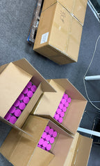 60 Pineapple Flavor Female Probiotic Gummies